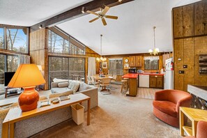 TV, fireplace, video library