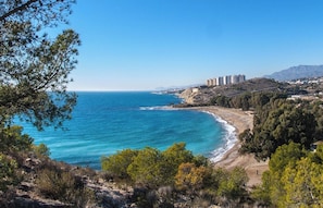 A coastal landscape with a beach, dense trees, and buildings in the background.