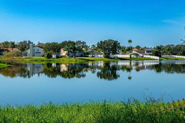 A residential area with houses, a pond, and a clear blue sky.