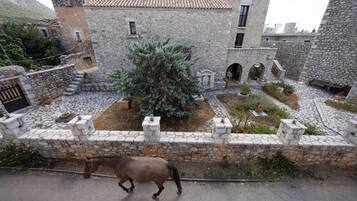 Deluxe Double Room, Fireplace | View from room