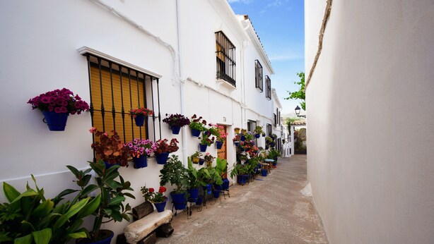 Una calle estrecha con edificios blancos, plantas en macetas y un banco de madera.