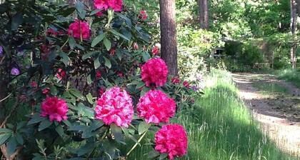 Ăvasion au bungalow Gierle Garden