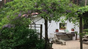 Eine rustikale Holzhütte mit einer Laube aus Holz, die mit violetten Blüten bewachsen ist, einer kleinen Veranda mit Tisch und Stühlen sowie einem Fenster mit Blumentöpfen.