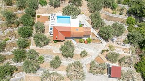 An aerial view of a property with a swimming pool, a red-roofed building, and surrounding vegetation. - Beautiful Villa with private pool and sea view (Vela Luka)