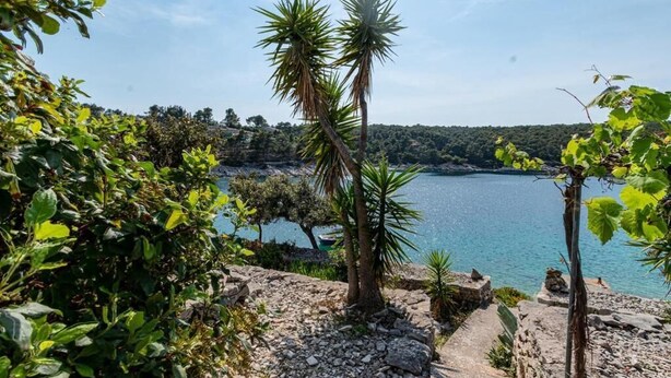 Paesaggio costiero con vista limpida sul mare, terreno roccioso e vegetazione sparsa.