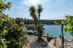 Terrain de l’hébergement 