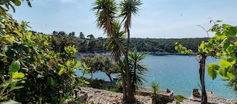 Holiday Home with sea view