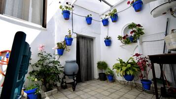 Terras