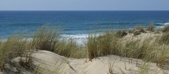 Le Bananier: Apartment in a charming "typical Canaulaise" villa 