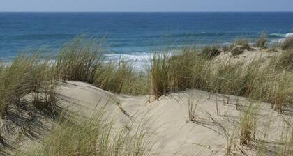 Le Bananier: Appartement dans belle villa de charme " typique Canaulaise "