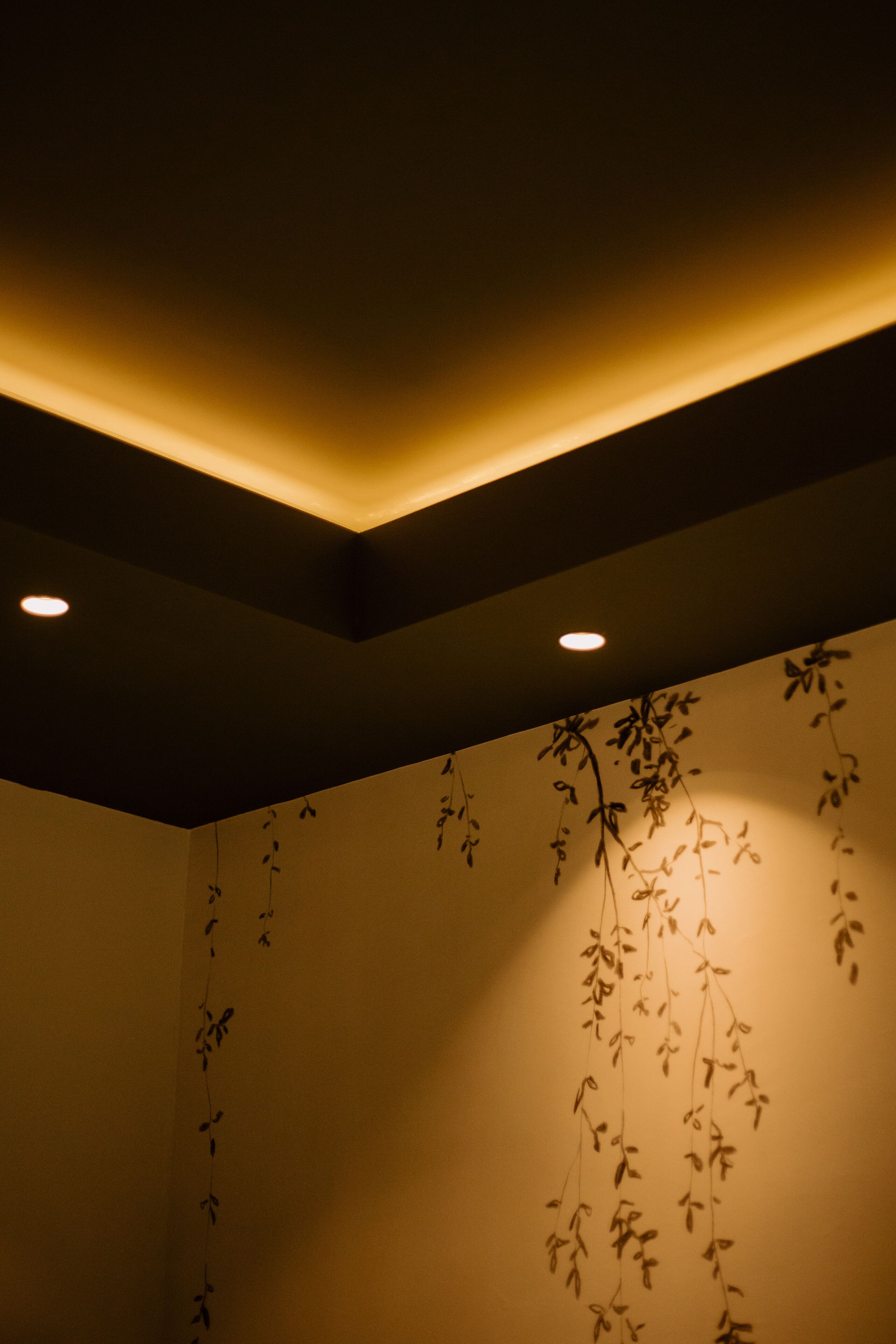Una habitación con una lámpara de techo y una pared decorada con plantas colgantes.
