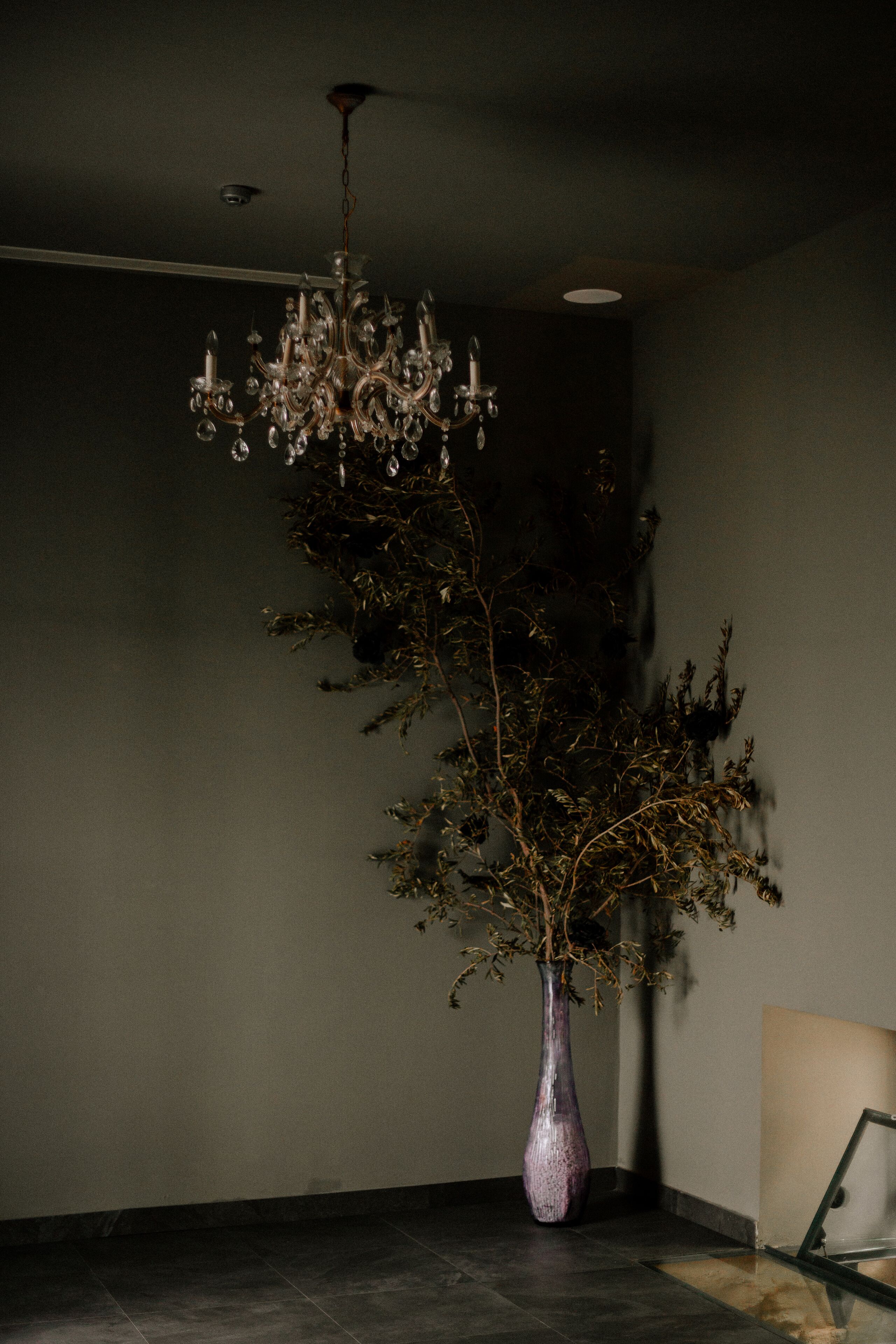 A room with a chandelier, a vase with a plant, and a framed picture leaning against the wall.