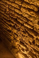 A close-up of a textured wall with a rough, uneven surface.