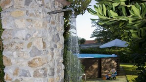 Une fontaine en pierre avec une petite cascade, entourée d’une végétation luxuriante et de fleurs.