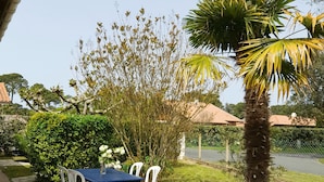Une terrasse avec une table et des chaises, entourée de verdure et d’un palmier.