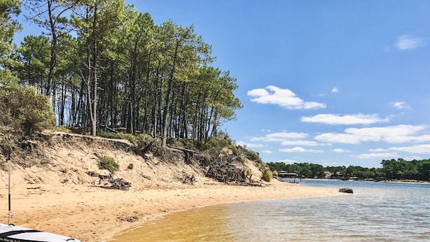 Une plage à l’eau claire, une rive sablonneuse et une colline boisée.