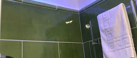 Studio Design | Douche de la salle de bain