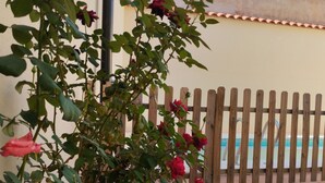 En rosenbuske med röda blommor framför ett trästaket och en plattbelagd uteplats.