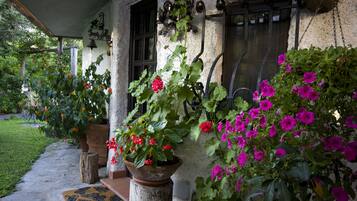 DĂ©tail de lâextĂ©rieur