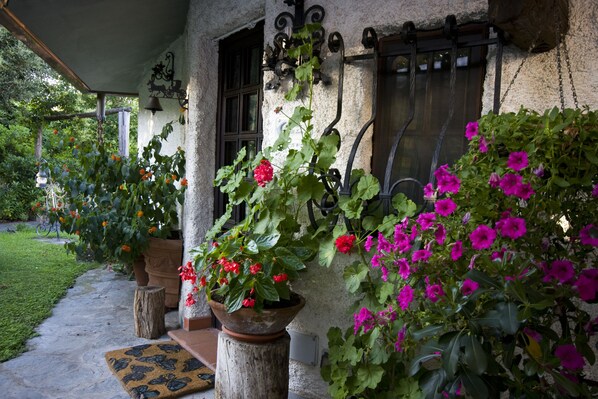 Detalle exterior