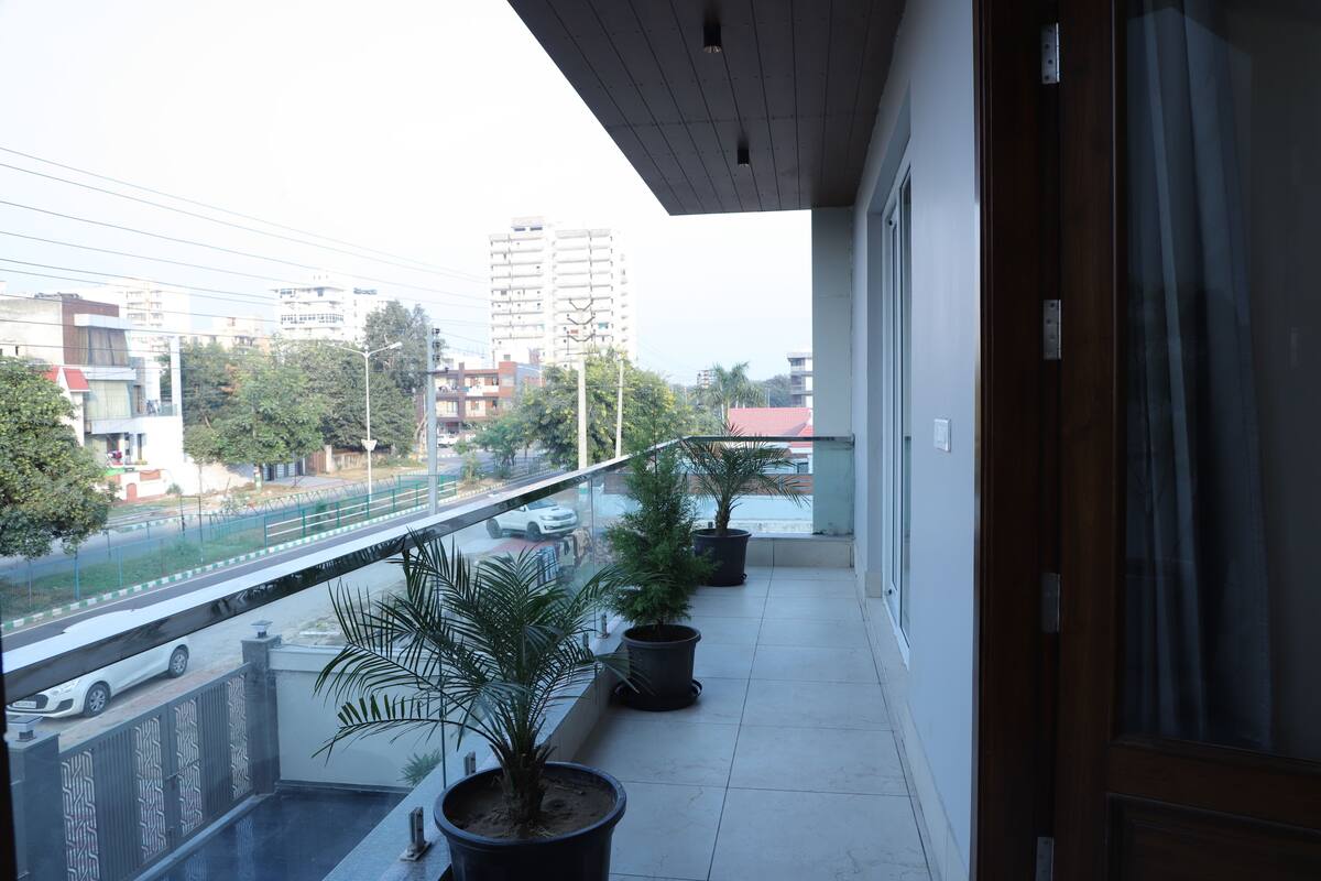 Un balcón con plantas en macetas, vista a una calle con coches y edificios al fondo.