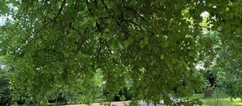 Happiness in the countryside!