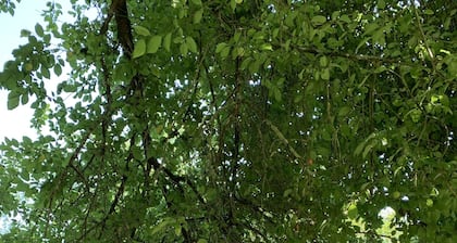 Happiness in the countryside!