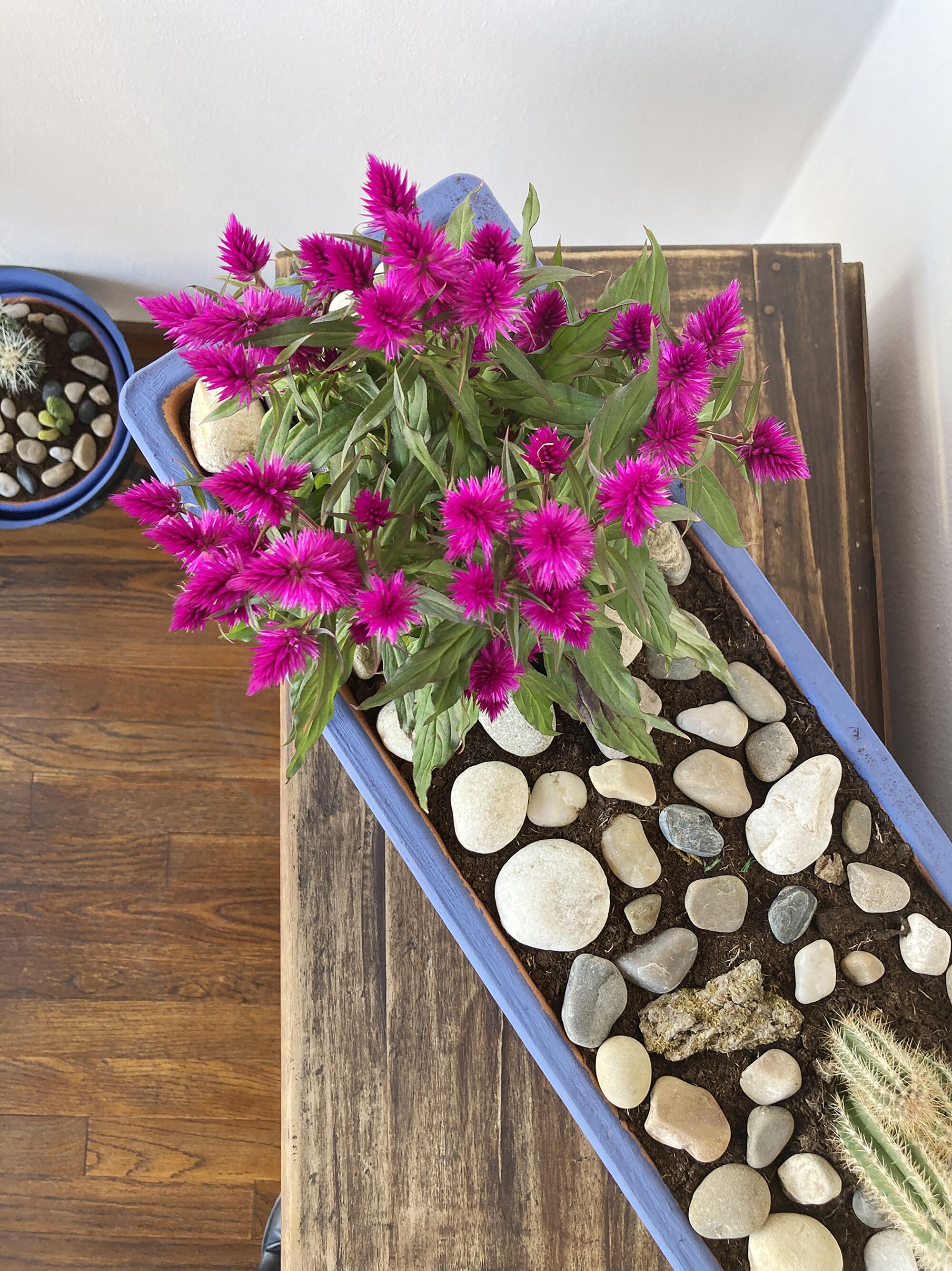 Foto - Posada La Casona de Los Güelitos