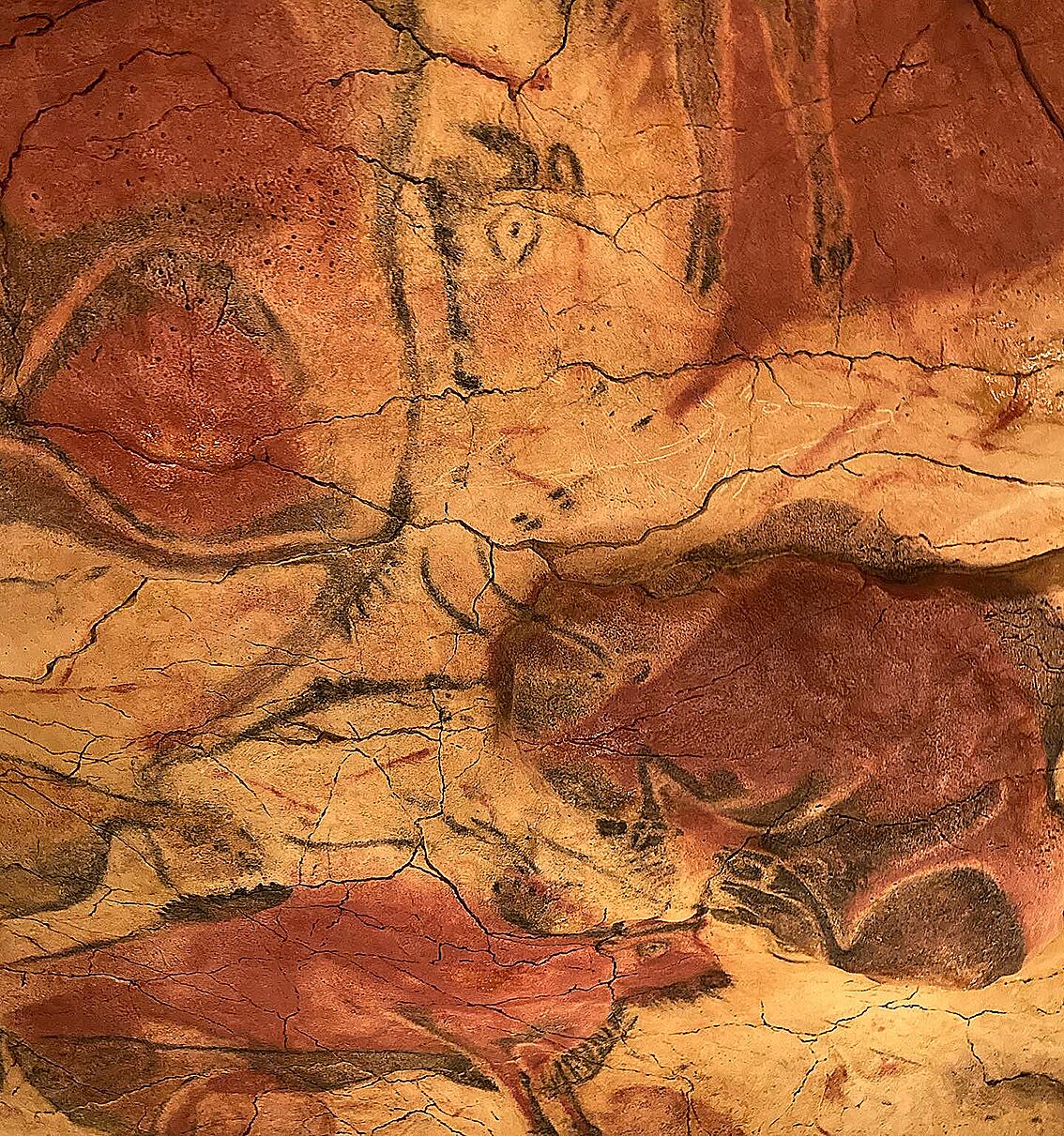 Foto - Posada La Casona de Los Güelitos