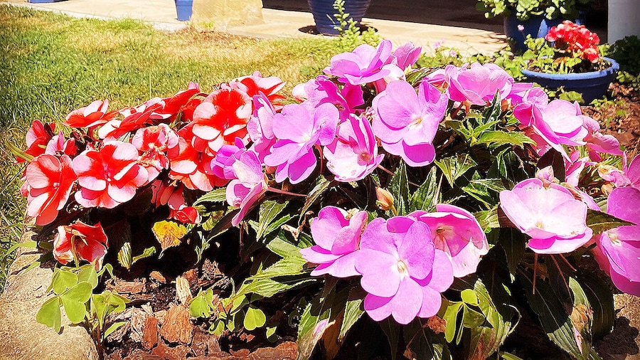 Posada La Casona de Los Güelitos