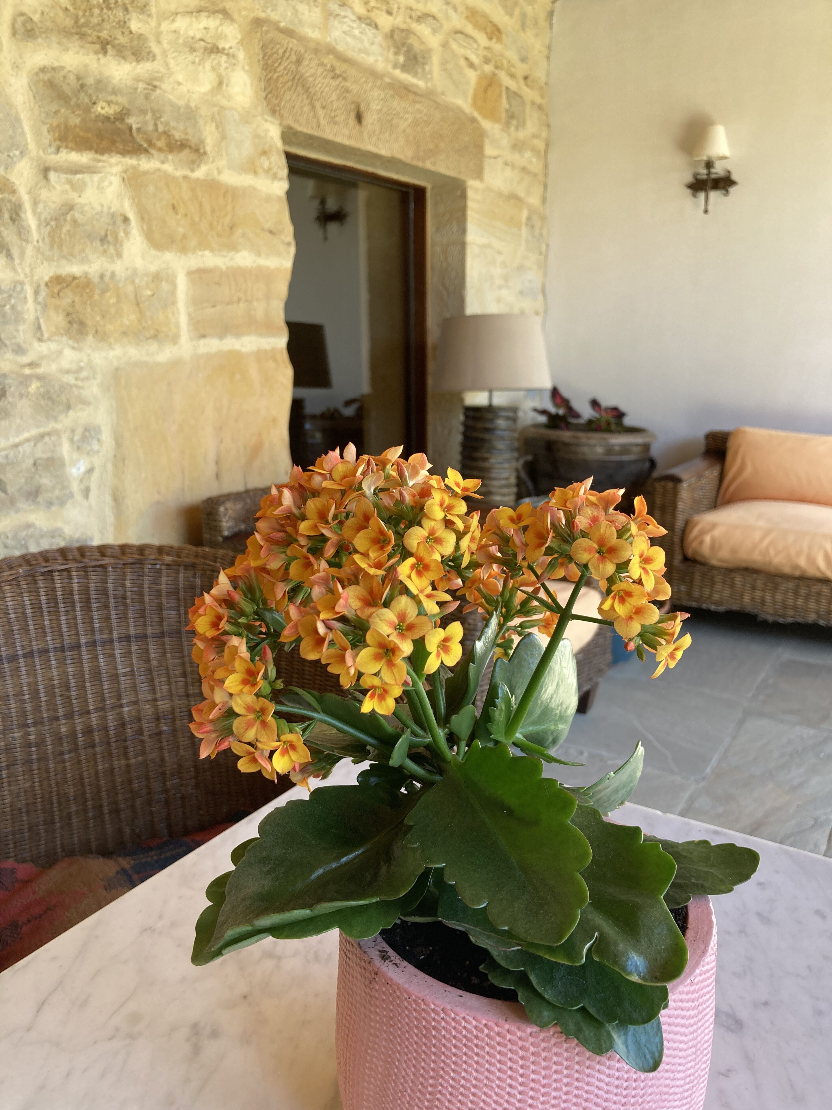 Foto - Posada La Casona de Los Güelitos