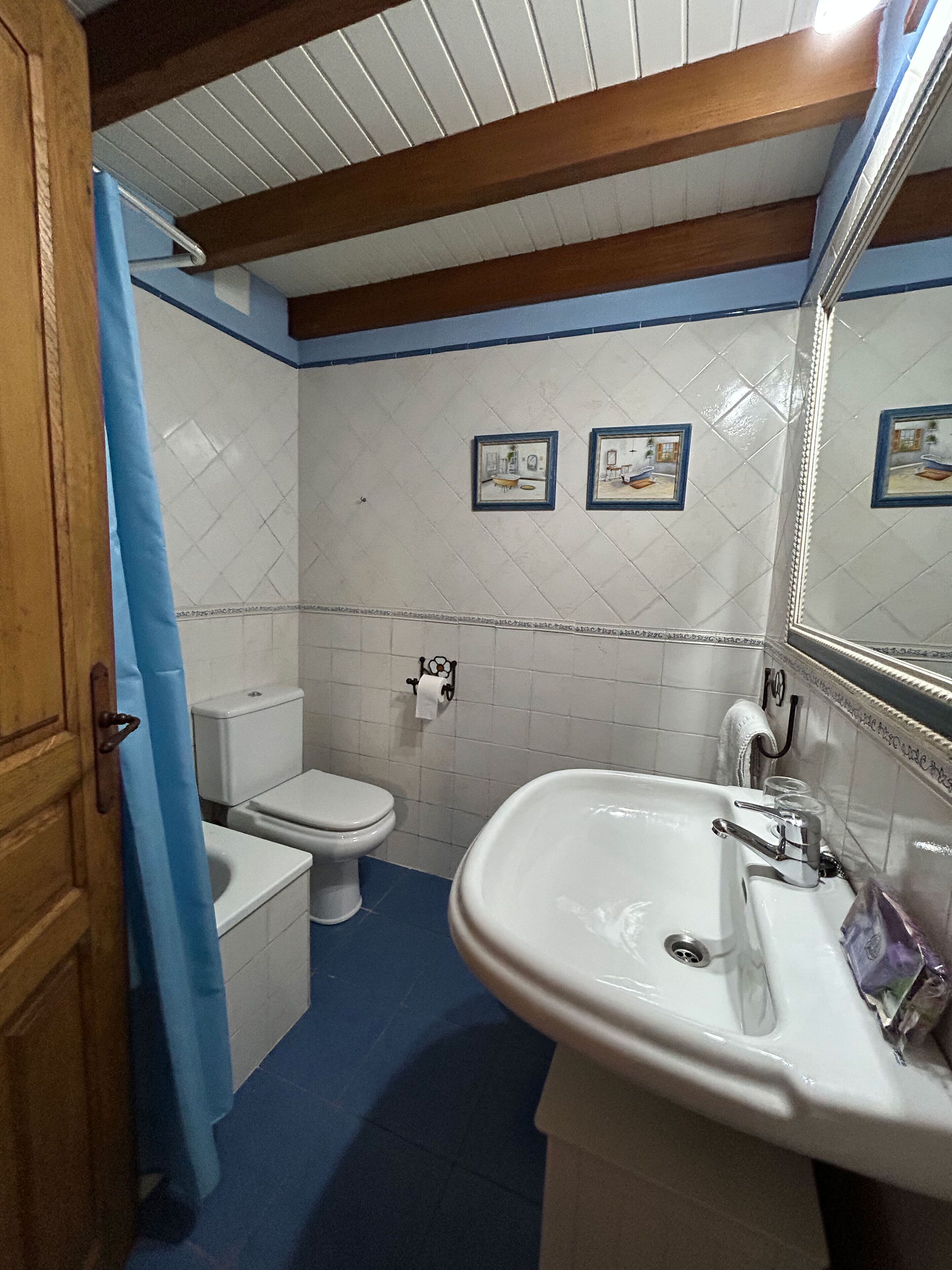 Une salle de bain avec des toilettes, un lavabo et un rideau de douche bleu.