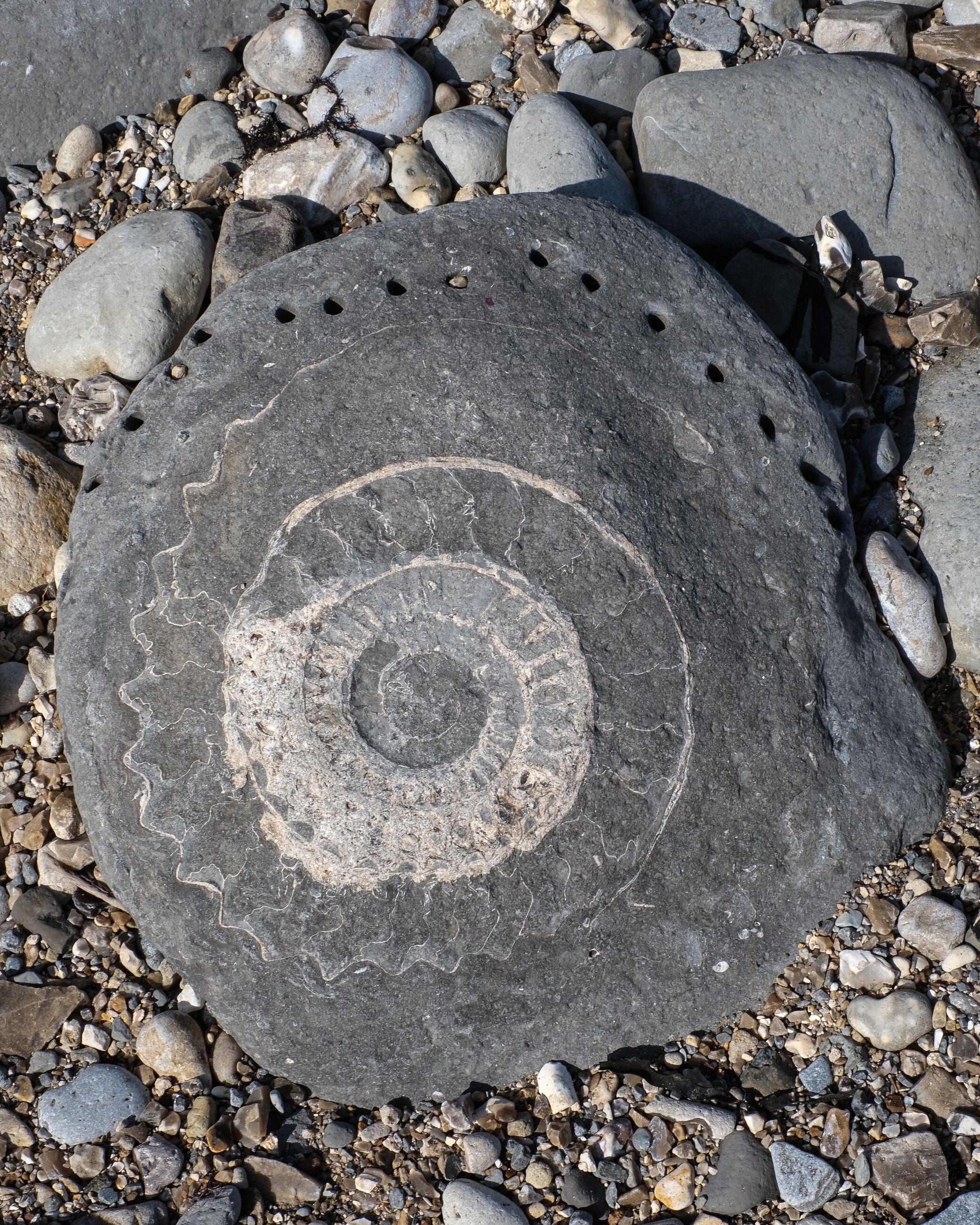 A large, flat stone with a spiral pattern and holes, surrounded by smaller rocks.