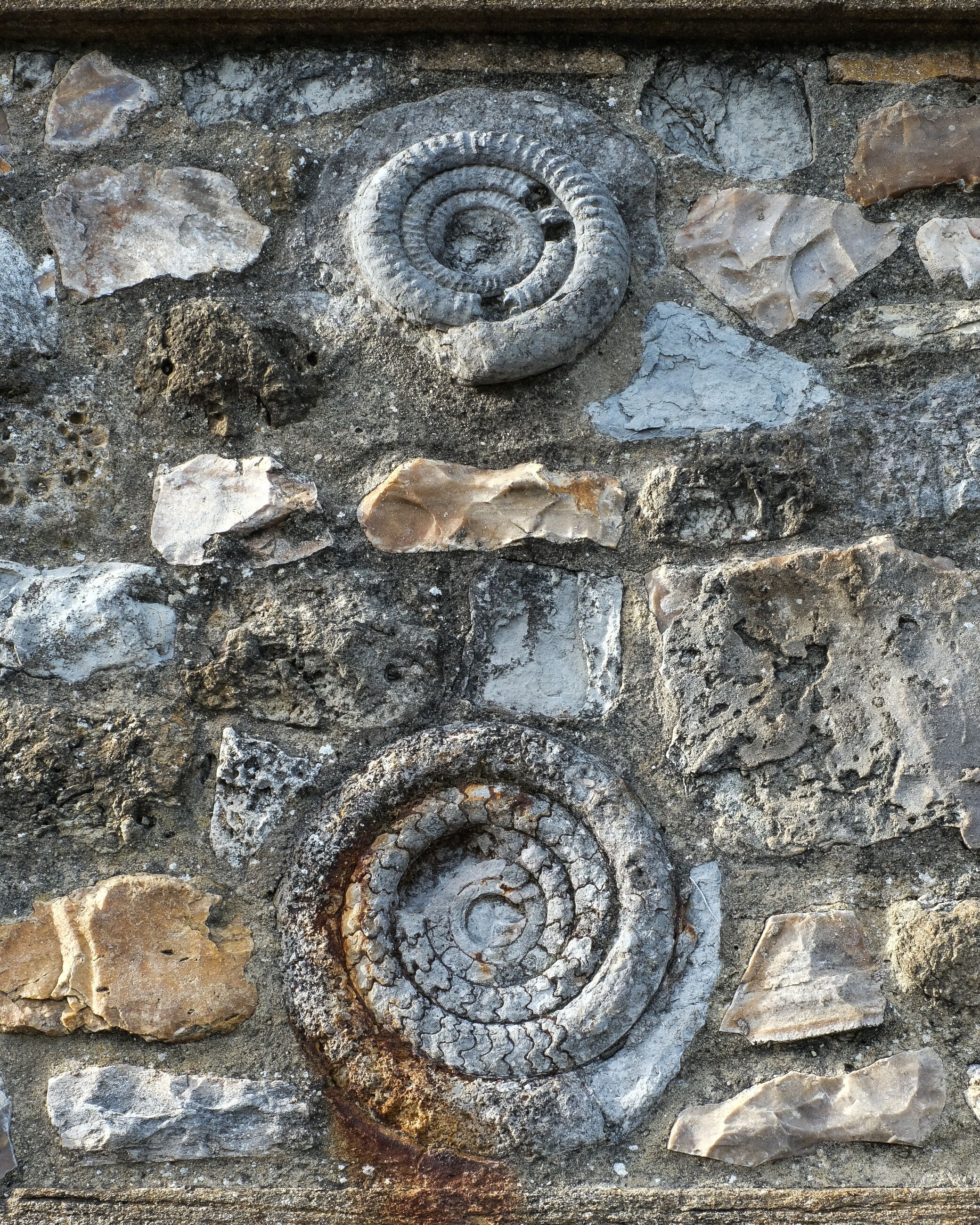 Un muro de piedra con huellas fósiles, incluyendo formas espirales y rectangulares.