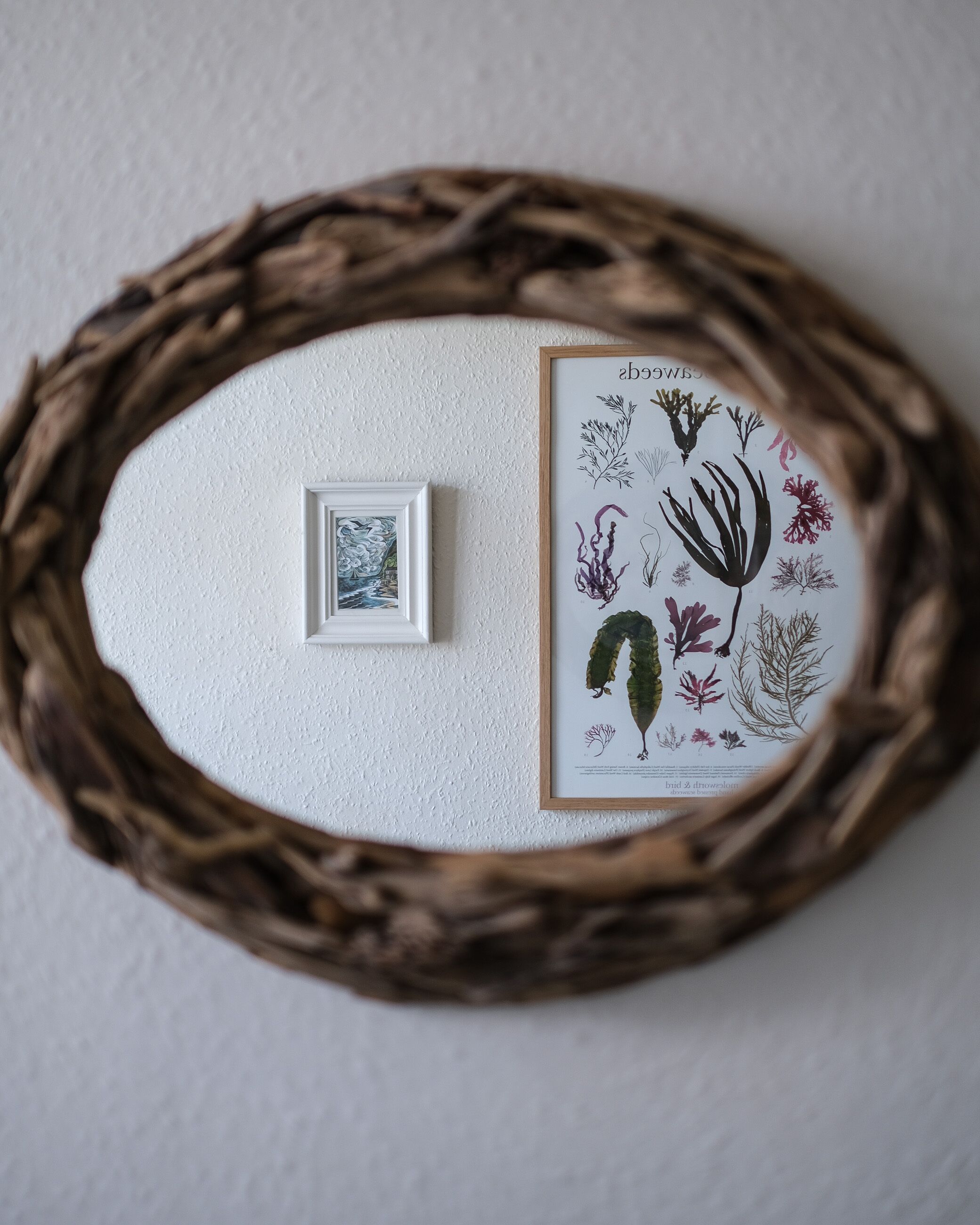 Ein wandmontierter, ovaler Rahmen mit zwei gerahmten Gegenständen: einem kleinen Gemälde und einer botanischen Illustration.