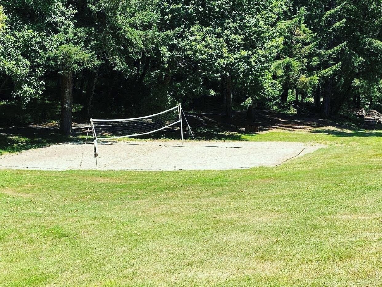 Ein Volleyballplatz mit Netz, umgeben von einer Rasenfläche und Bäumen.