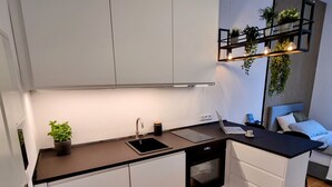 A modern kitchen with white cabinets, a black countertop, a built-in oven, and a sink. There is a laptop on the counter and a potted plant on the left side. - Modern apartment Karlsruhe (Karlsruhe)