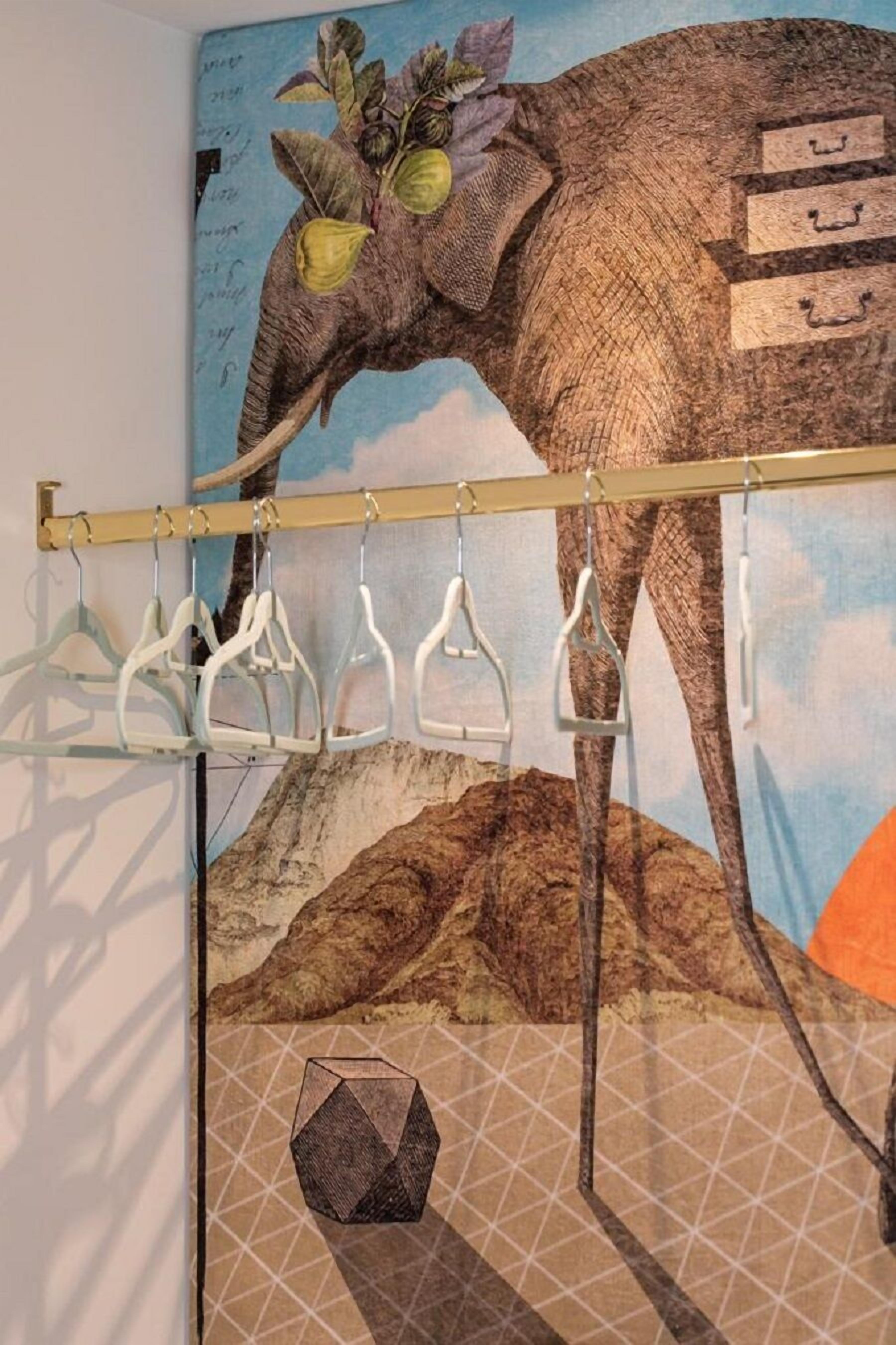 A wall with a large elephant painting, a metal rack with white hangers, and a geometric pattern on the floor.
