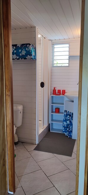 Ducha y papel higiénico