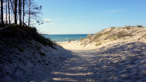Strand
