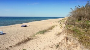 Playa en los alrededores 