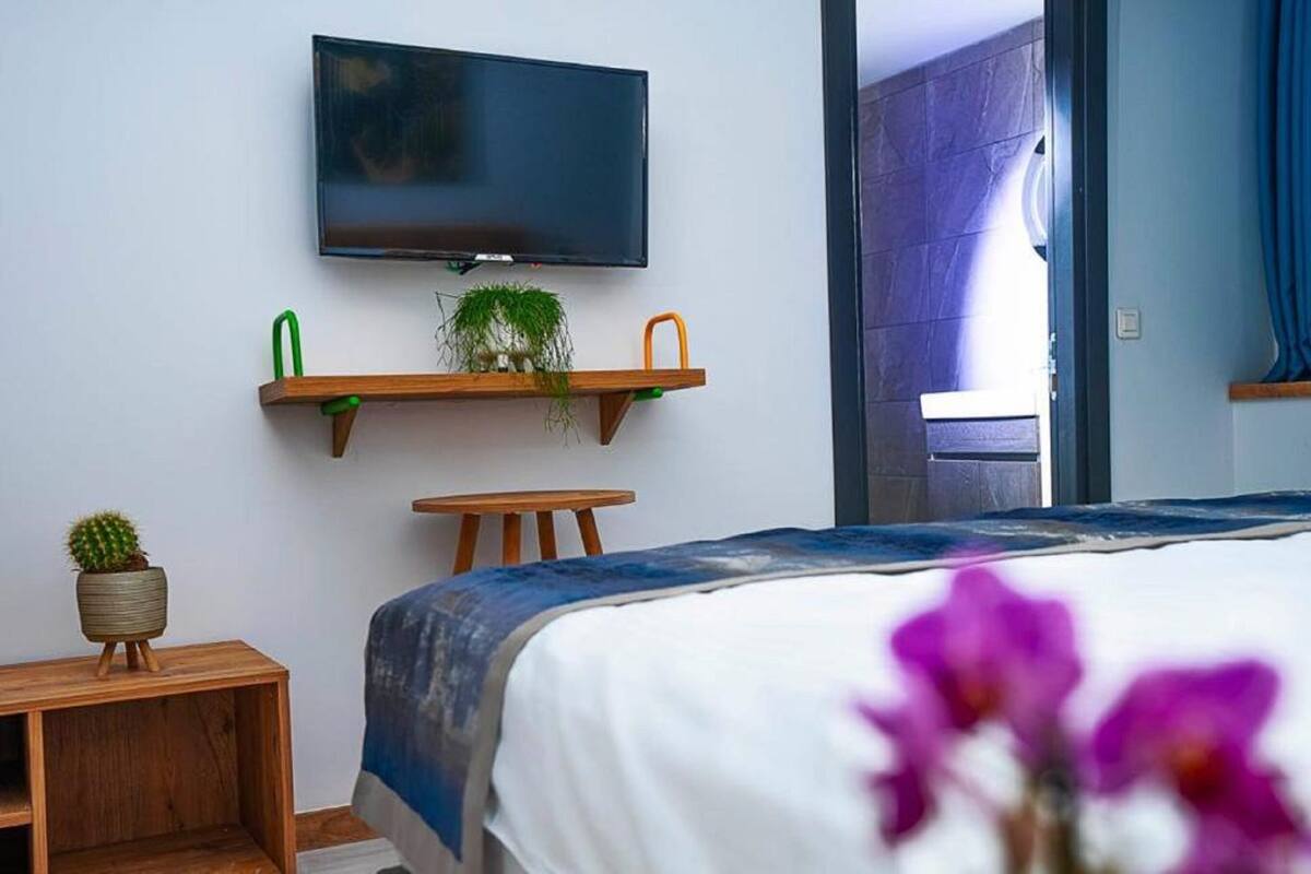 Habitación de hotel moderna con una televisión de pantalla plana montada en la pared, un banco de madera, una mesita con un cactus y una cama con colcha azul y blanca.