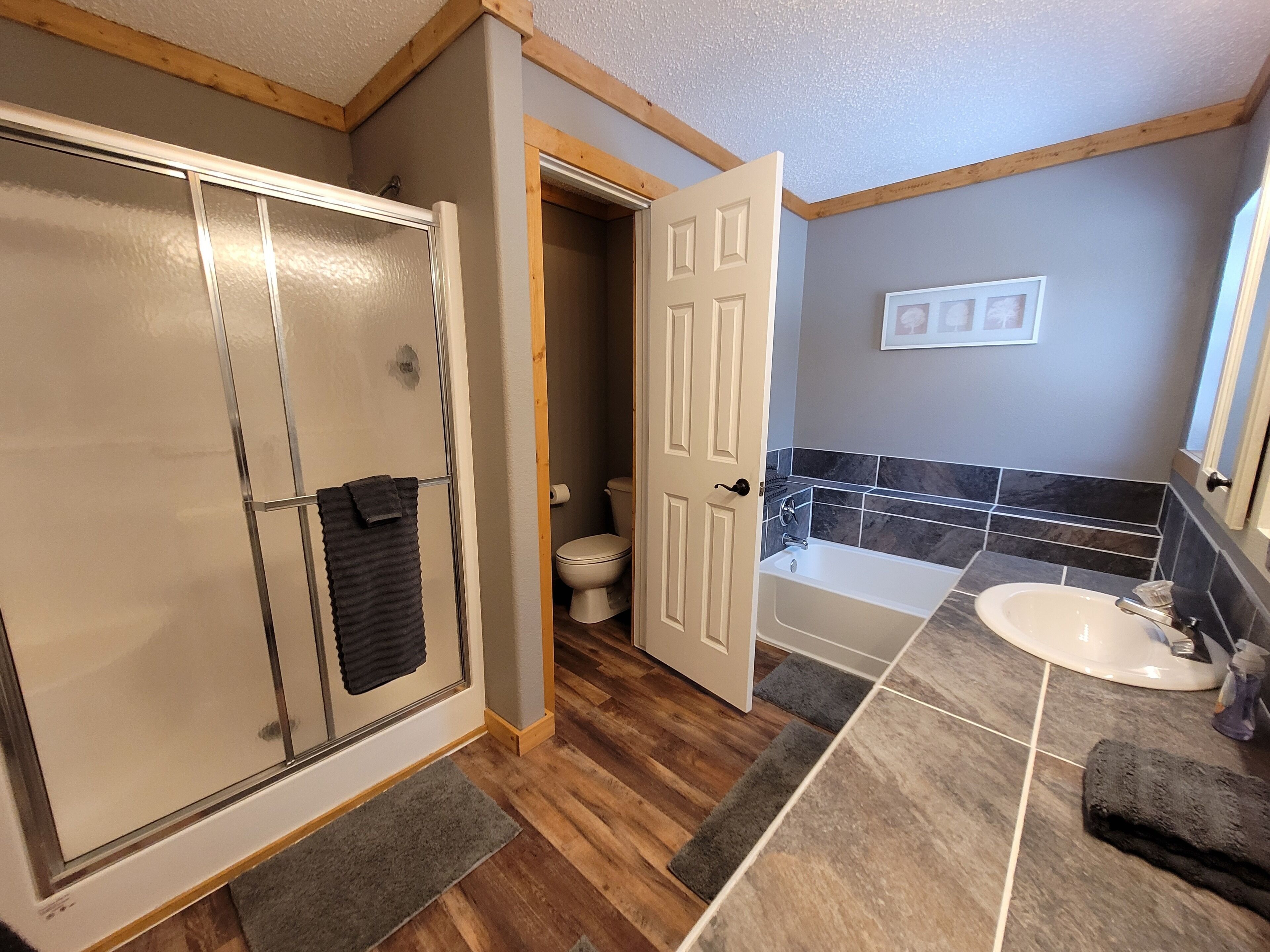 Une salle de bain avec douche, toilettes et baignoire.