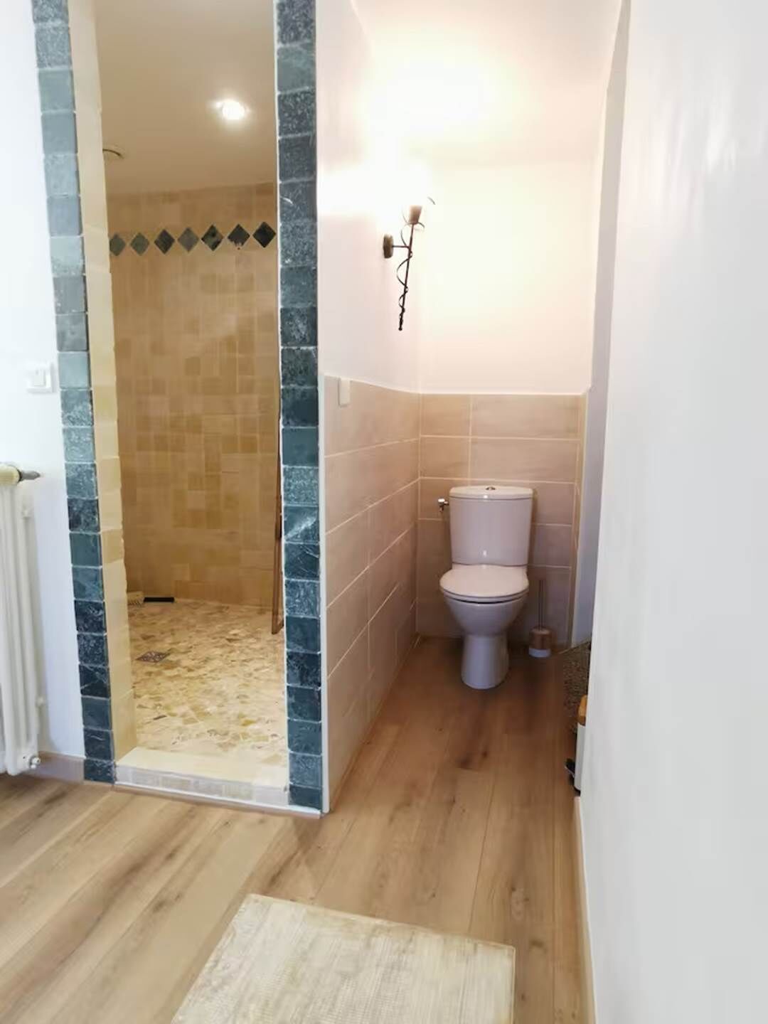 A bathroom with a shower, toilet, and a small rug on the floor.