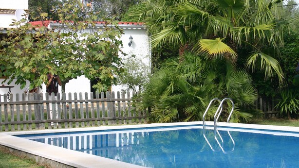 A swimming pool with two ladders, surrounded by lush greenery and a wooden fence.