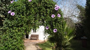 A garden with a bench, a pathway, and a white building.