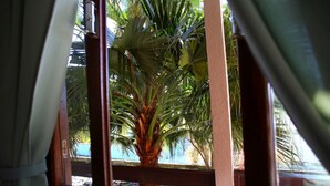 Una ventana que ofrece vistas a una palmera y una zona rocosa.