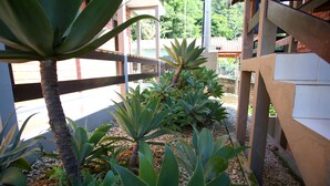 Un jardín con diferentes plantas y una valla de madera.