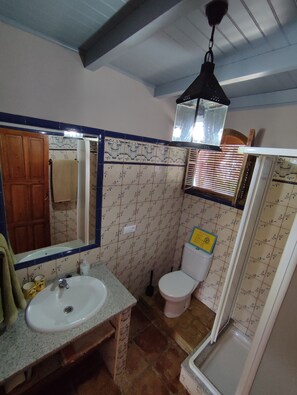Une salle de bain avec un lavabo, des toilettes et une douche.