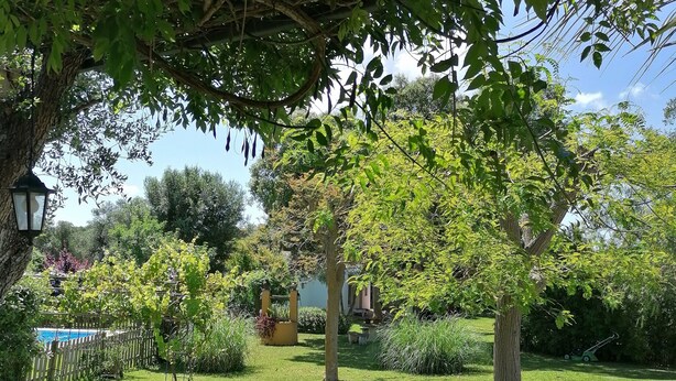 A lush garden with a variety of plants and a lawn. - Andalucía; Cádiz; Vejer de la Frontera;  cottage  Finca la Hijuela, casa Encina (Vejer de la Frontera)